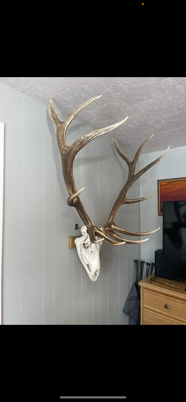 Euro mount in Other in Portage la Prairie - Image 3