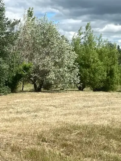 Beautiful acreage in Braun Village, 22km north of Bon Accord. Great location, newer homes in the are...