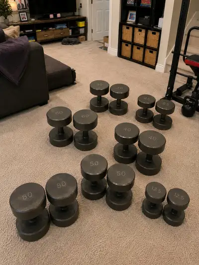dumbbell set 12.5-80lbs, View more