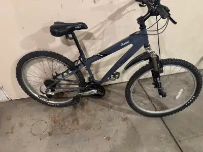  Ironhorse Aluminum Mountain Bike , View more