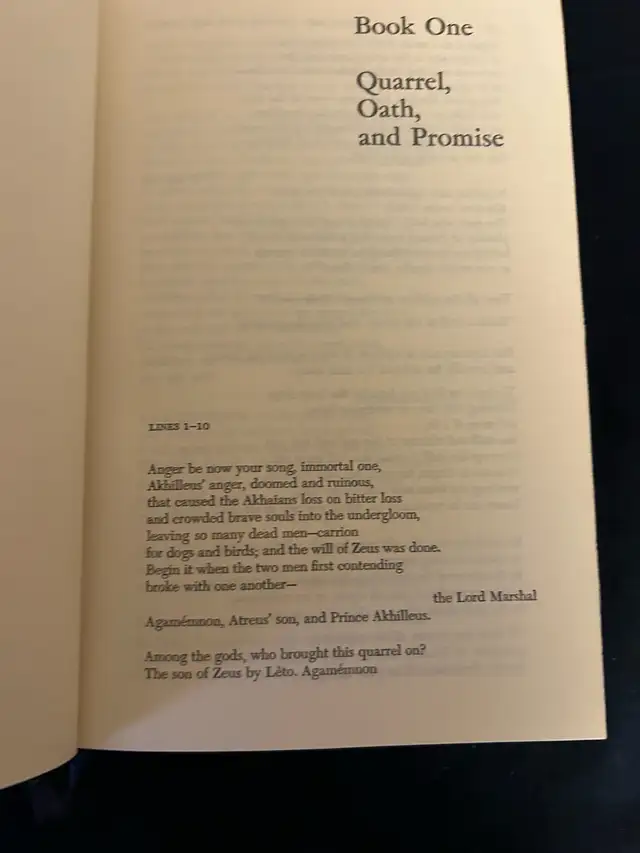 Vintage book Homer -The Iliad in Fiction in City of Toronto - Image 9