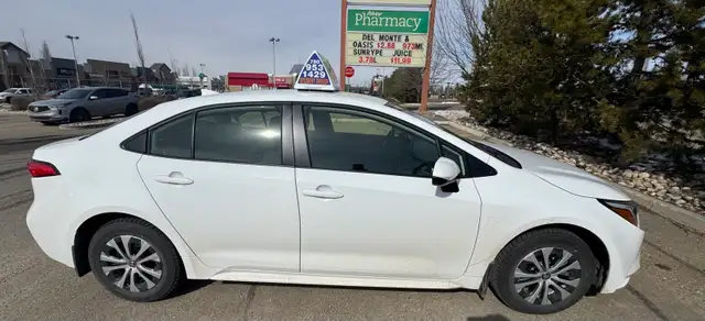 Driving lessons451077294827120643