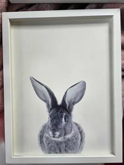 Rabbit Wall Art Prints, View more