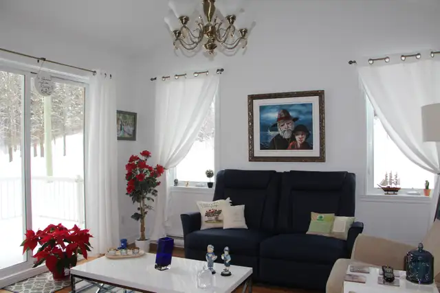 4 1/2 aire ouverte-toit cathédrale-garage chauffé-vue sur boisé