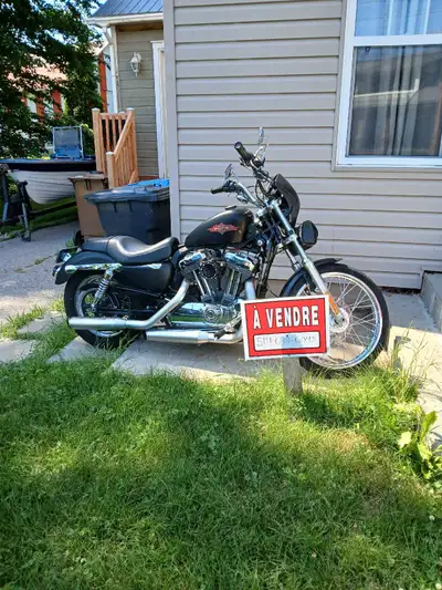 Belle petite moto Harley Davidson Sportster XL1200 année 2012. - 41 689 km -batterie neuve 2025 -fre...