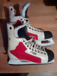 PAIRE DE PATIN DE HOCKEY VINTAGES TREX