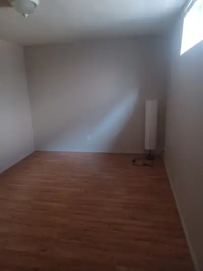 Seeking roommate to share my 2 bedroom basement suite. Large bedroom, plus use of a large storage ro...