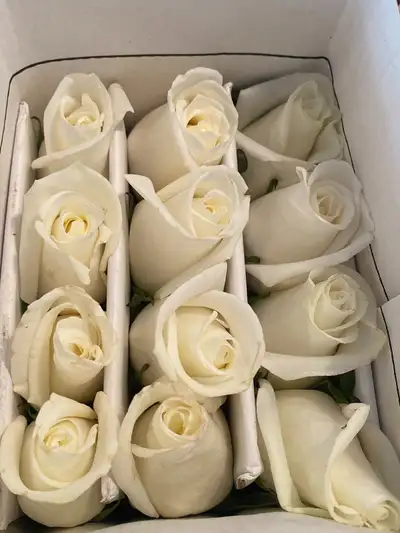 White Roses - Valentine day, View more
