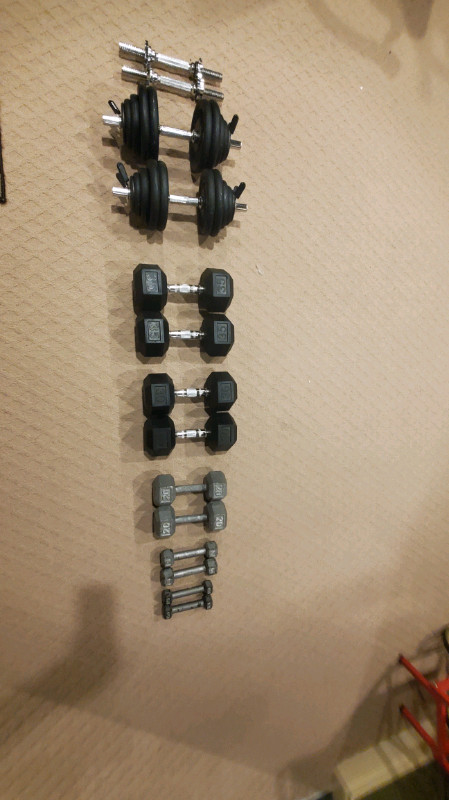 Dumbbell sets and for sale  