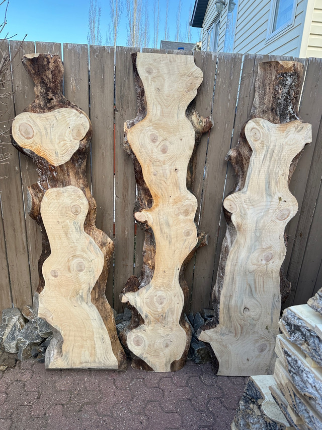 Live edge fir wood slabs DRY in Hobbies & Crafts in Calgary - Image 2
