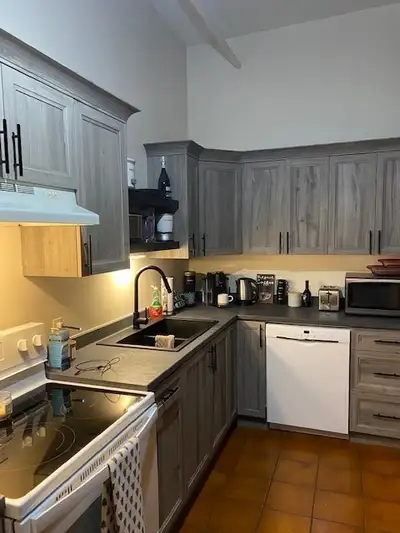 Beautiful 1 Bedroom Apartment in Downtown Fredericton