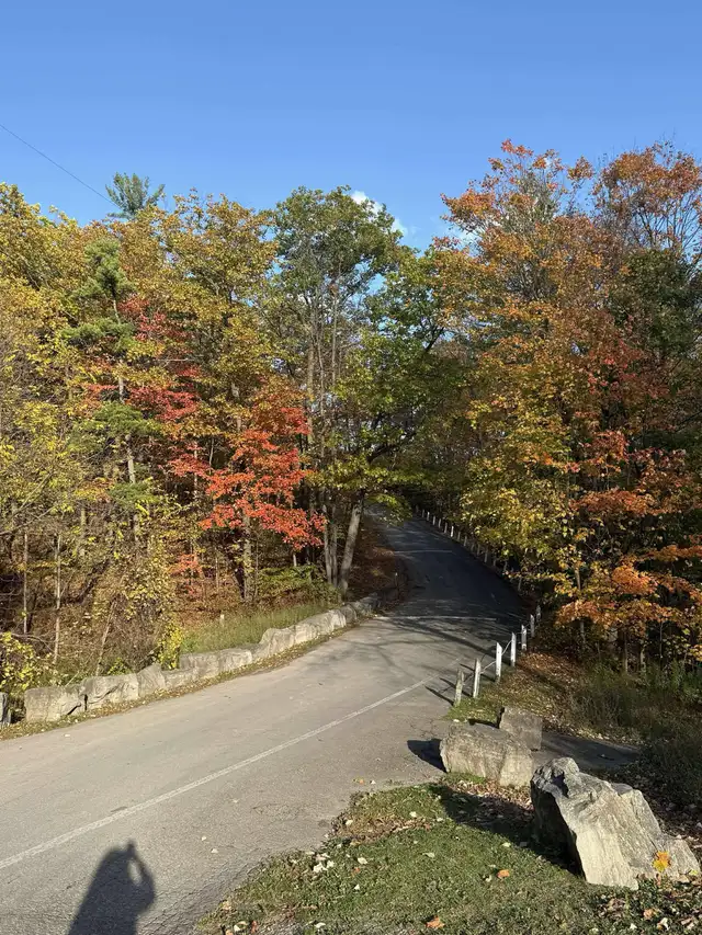 local rides 64601019085314121