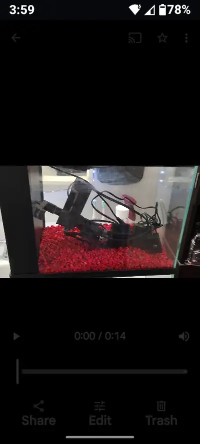 3 GAL Fishtanks, View more