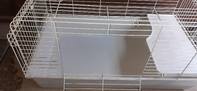 Cage grand format pour lapins, cochons d'inde + accessoires dans Accessoires  à Saint-Hyacinthe - Image 4