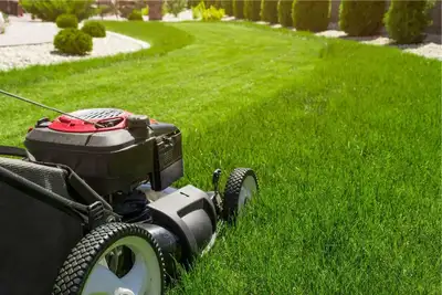 Affordable Lawn Care/Services, View more