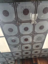 Drop Ceiling OR Fall Ceiling