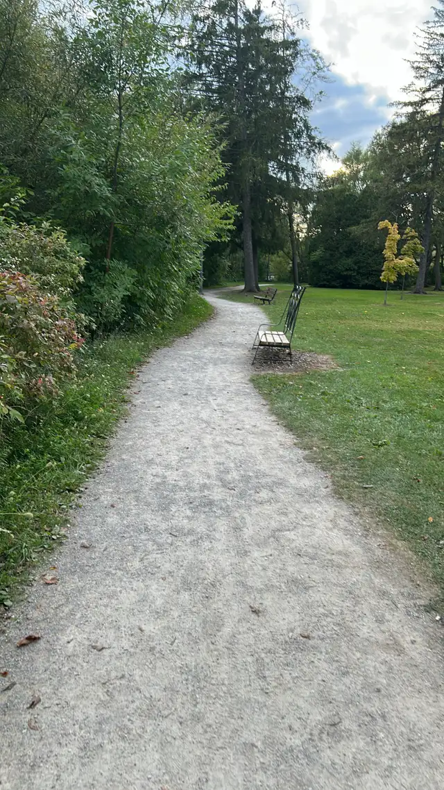 Midsummer Forest Immersion Experience – Stratford, Ontario548862839122841606