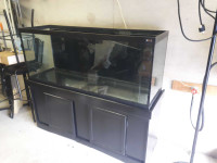 125 Gallon Aquarium 