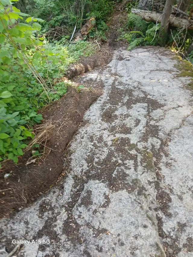 Service Exchange64840290850435120