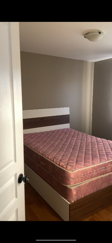 Room for rent in 3 bedroom full house in Room Rentals & Roommates in Moncton