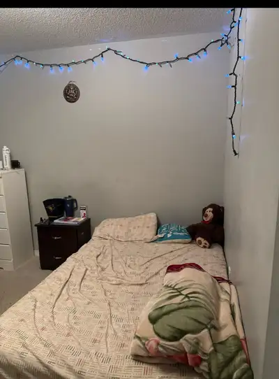 room available private or sharing