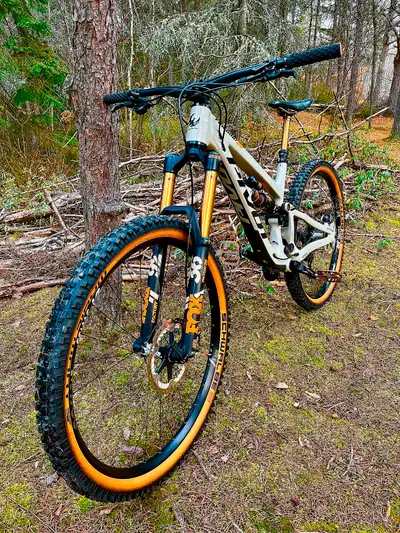 Pivot Firebird 29 Pro XTR, View more