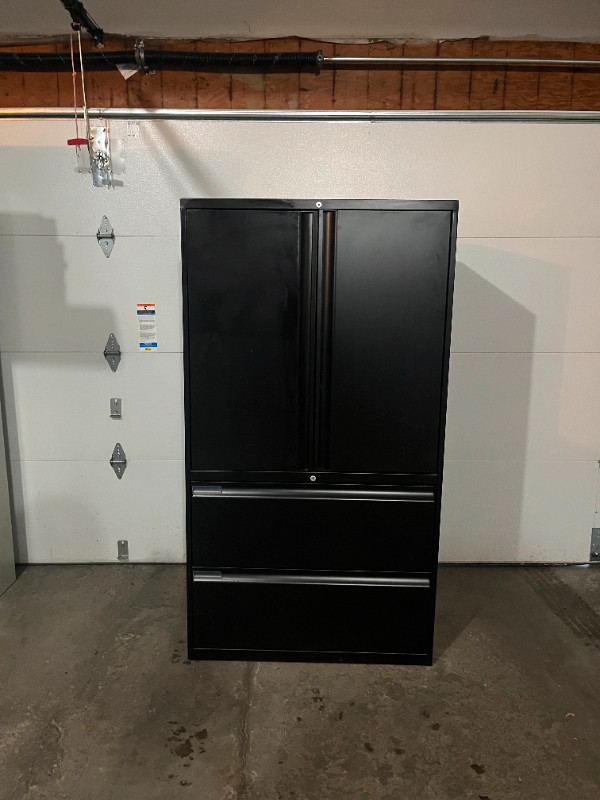 Teknion 2Door / 2Drawer Combo File / Filing Storage