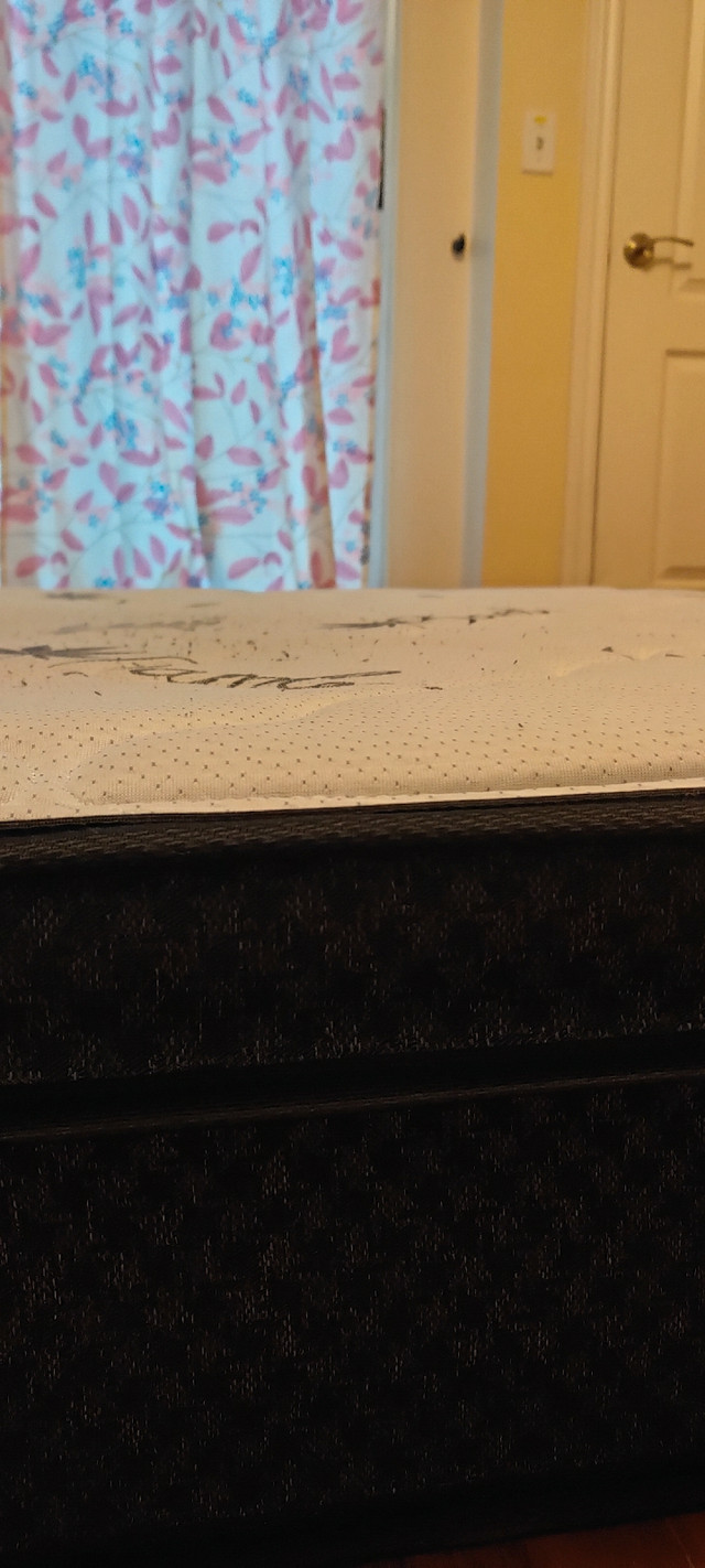 Free | Mattress | 8 Inch | Very Firm in Bedding in City of Toronto - Image 3