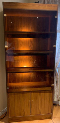 Display Cabinet with lights