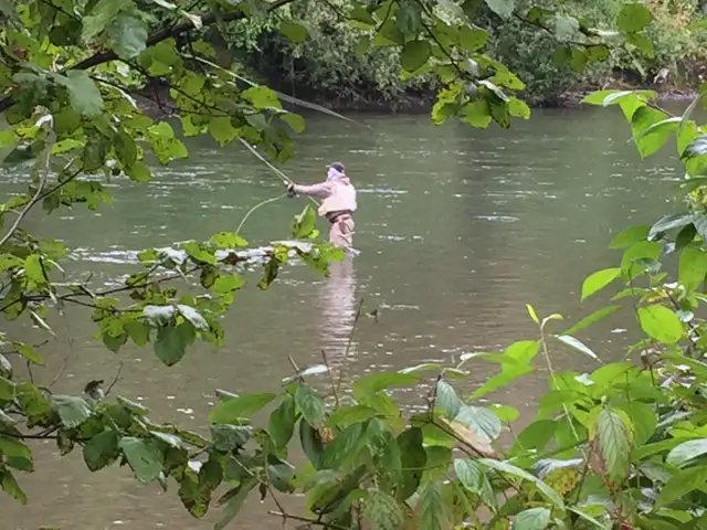 Kispiox River front property for sale in Houses for Sale in Smithers - Image 11