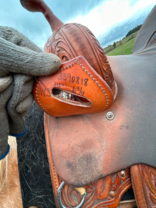 Woodys W3, Barrel Racer in Equestrian & Livestock Accessories in Vernon - Image 3