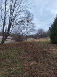 5 acre lot 1 acre cleared with well