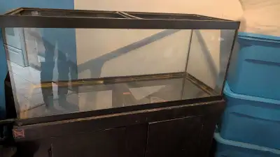 75 gallon terrarium and stand (may not hold water), View more