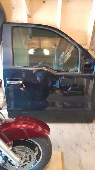 2014 Ford F-150 passanger side doors, crew cab great shape , minor peel, solid no holes of any kind....