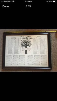 Family tree chart with frame 