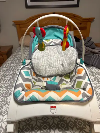 Fisher Price Baby Rocker, View more