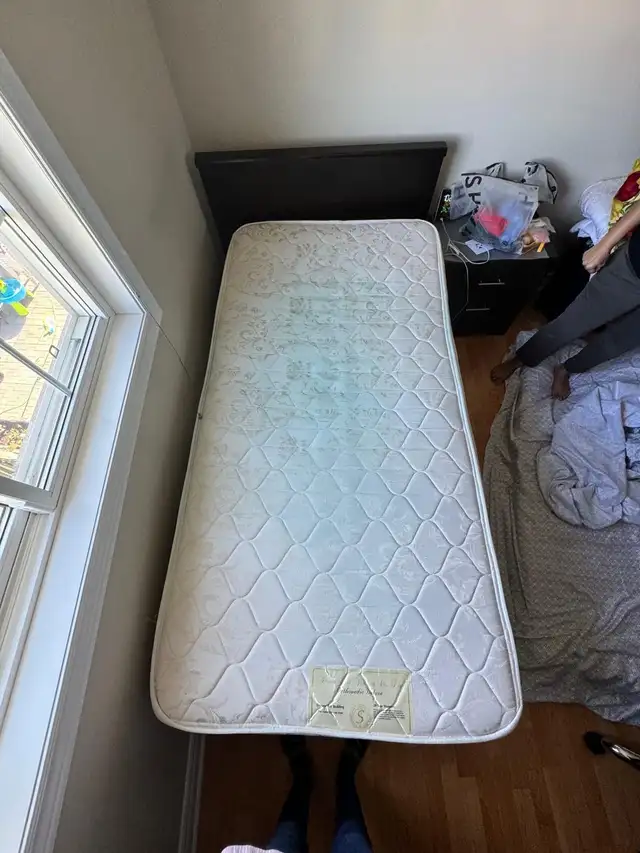 Single/Twin Mattress and Bed in Beds & Mattresses in Mississauga / Peel Region - Image 4
