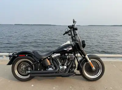 Comes with new quick disconnect windshield, soft saddle bags , passenger seat and backrest (also qui...