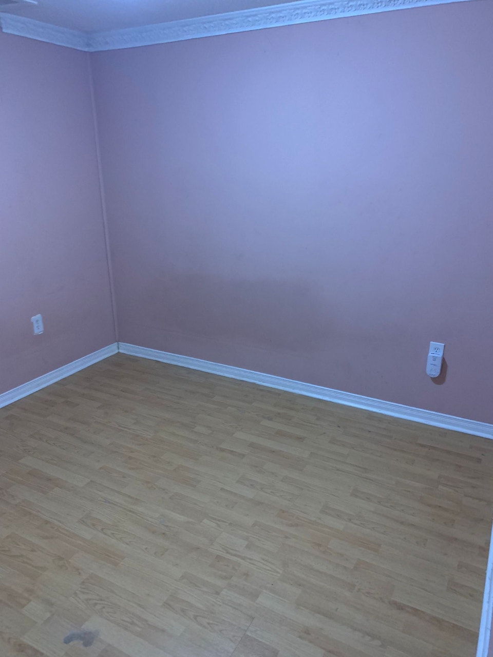 One Bedroom Basement Apartment 5