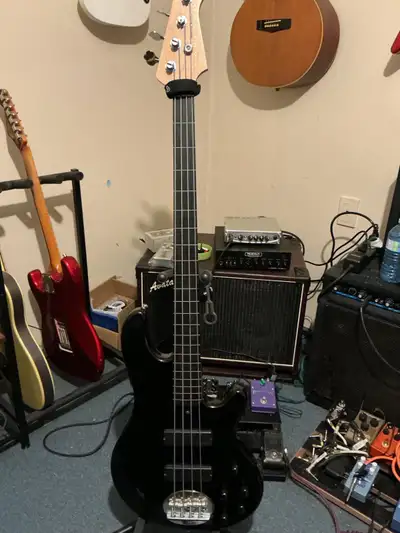 Lakland fretless bass, View more