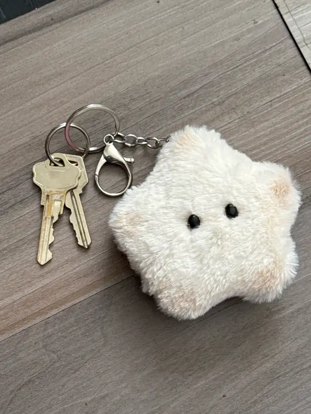 Star Plush Keychain found 