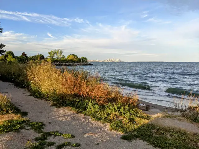 Room for Rent in South Etobicoke in Room Rentals & Roommates in City of Toronto - Image 8