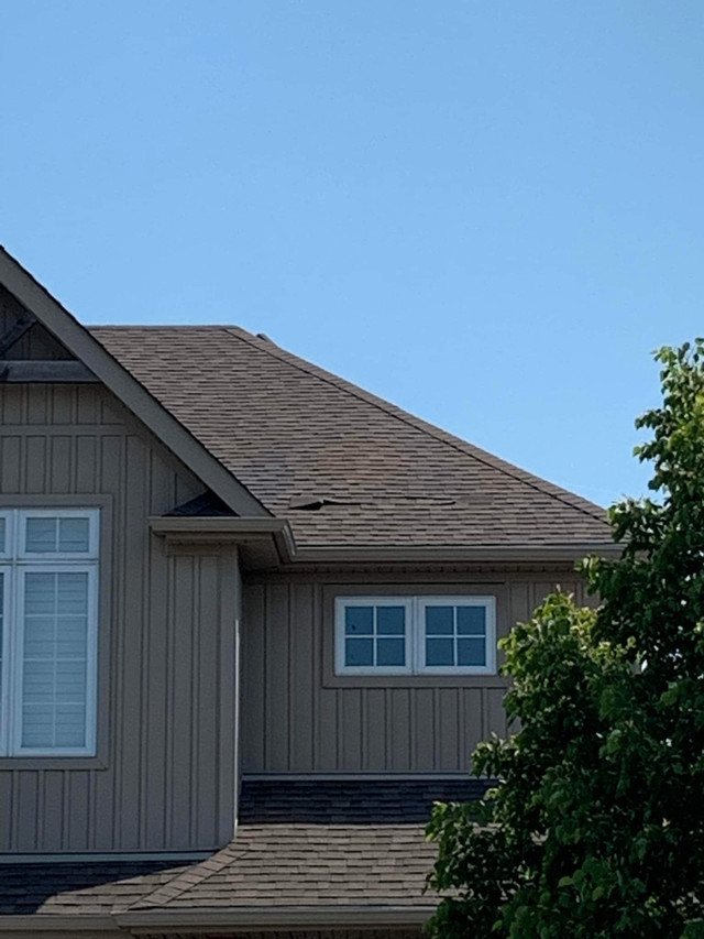 Roof Repairs, Sheds and Gutter Cleaning in Roofing in Kitchener / Waterloo - Image 2