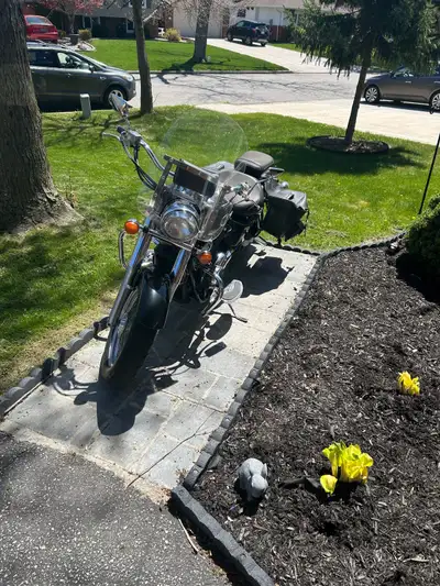 2002 Honda Shadow Ace 750. Comes with windshield and saddle bags as well as a cover and your next oi...