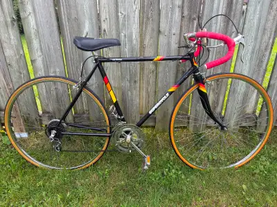 Supercycle 12 Speed Bike, View more