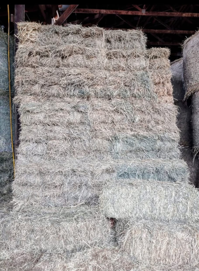 2 cut small square bales, View more