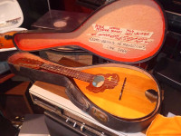 Vintage rare string instruments 
