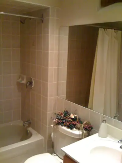 Spacious 1 Bdrm Basement for Rent in Lisgar Area