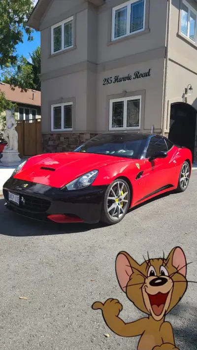 Vehicle Vinyl Wrapping, View more
