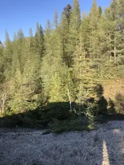 2100 acres of deeded land in The Pas manitoba area! with Hwy frontage and rail line access! Zoned ag...